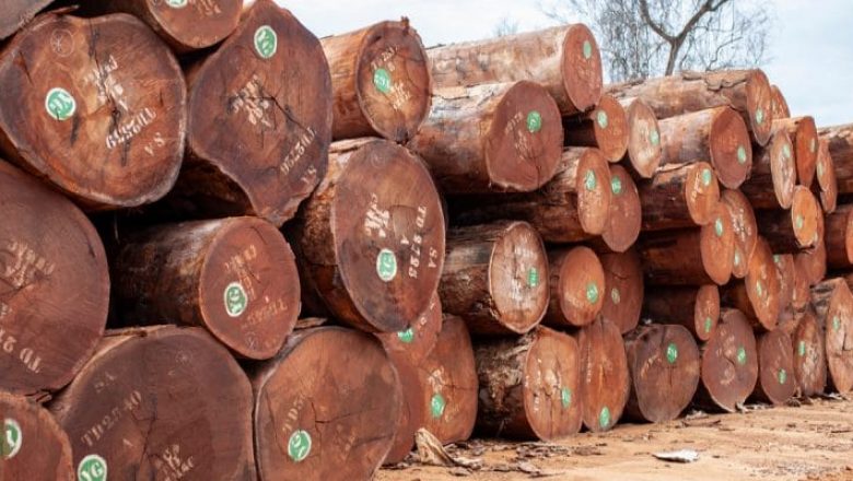 Doussie Wood Logs (Afzelia)